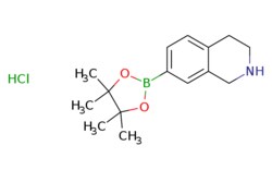 eMolecules​ 1,2,3,4-Tetrahydro-isoquinoline-7-boronic acid pinacol ester