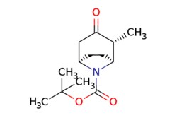 eMolecules​ rel-(1S,2R,5R)-8-Boc-2-methyl-3-oxo-8-aza-bicyclo[3.2.1]octane