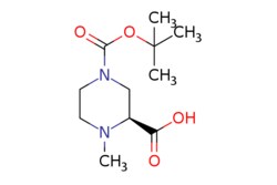 eMolecules​&nbsp;(3S)-4-Methyl-piperazine-1,3-dicarboxylic acid 1-tert-butyl ester | 2165707-14-0 |  | 1g