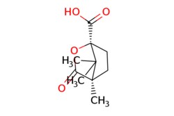 eMolecules​&nbsp;(1S)-(-)-Camphanic acid | 13429-83-9 | MFCD00044948 | 25g