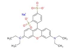 eMolecules​ Sulforhodamine B sodium salt | 3520-42-1 | MFCD00010180 | 25g,