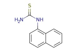 eMolecules​ 1-(1-Naphthyl)-2-thiourea | 86-88-4 | MFCD00041824 | 1g