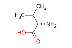 eMolecules​ H-Val-OH | 72-18-4 | | 1g, Quantity: Each of 1