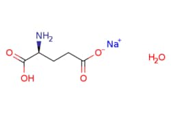 eMolecules​ L-Glutamic acid monosodium salt monohydrate | 6106-04-3 | MFCD00150138