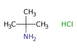 eMolecules​ 2-Methylpropan-2-aminium chloride | 10017-37-5 | MFCD00042027