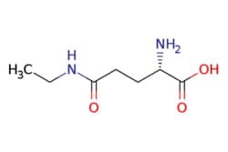 eMolecules​ L-Theanine | 3081-61-6 | MFCD00059653 | 1g, Quantity: Each