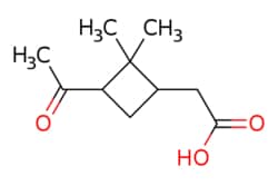 eMolecules​ cis-Pinonic acid | 61826-55-9 | MFCD00066726 | 1g, Quantity: