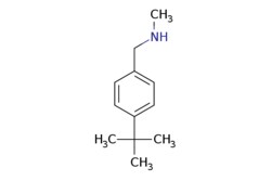 eMolecules​ N-(4-tert-butylbenzyl)-N-methylamine | 65542-26-9 | MFCD04623044