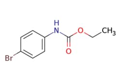 eMolecules​ Ethyl N-(4-bromophenyl)carbamate | 7451-53-8 | MFCD00017808