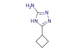 eMolecules​ 5-Cyclobutyl-4H-1,2,4-triazol-3-ylamine | 496057-24-0 | MFCD03425203