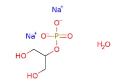 eMolecules​ ?-Glycerophosphate disodium salt hydrate | 154804-51-0 | MFCD00149082