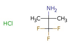 eMolecules​ 2,2,2-Trifluoro-1,1-dimethyl-ethylamine hydrochloride | 174886-04-5