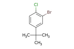 eMolecules​ 3-Bromo-4-chloro-tert-butylbenzene | 61024-95-1 | MFCD09878145