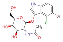 eMolecules​ 5-Bromo-4-chloro-3-indolyl N-acetyl-beta-D-galactosaminide | 129572-48-1 | MFCD00083260 | 1g