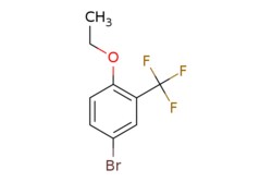 eMolecules​ 5-Bromo-2-ethoxybenzotrifluoride | 914635-58-8 | MFCD08059521