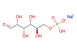 eMolecules​ D-Glucose-6-phosphate monosodium salt | 54010-71-8 | MFCD00136039