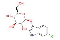 eMolecules​ 6-Chloro-3-indolyl beta-D-glucopyranoside | 159954-28-6 | MFCD00467206 | 1g