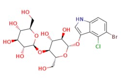 eMolecules​ 5-Bromo-4-chloro-3-indolyl beta-D-cellobioside | 177966-52-8 | MFCD00798387 | 1g