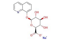 eMolecules​ 8-Hydroxyquinoline-beta-D-glucuronic acid, sodium salt | 207728-71-0 | MFCD02683911 | 1g