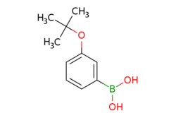 eMolecules​ 3-(tert-Butoxy)benzeneboronic acid | 312931-06-9 | MFCD06801745