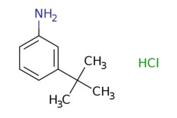 eMolecules​ 3-(tert-Butyl)aniline hydrochloride | 83672-23-5 | MFCD08273794