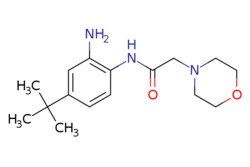 eMolecules​ N-[2-Amino-4-(tert-butyl)phenyl]-2-(morpholin-4-yl)acetamide