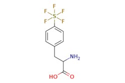 eMolecules​ 4-(Pentafluorosulfur)-DL-phenylalanine | 1266124-33-7 | MFCD16652449