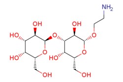 eMolecules​ 2-Aminoethyl 3-O-(alpha-D-galactopyranosyl)-beta-D-galactopyranoside