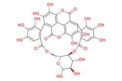 eMolecules​ Punicalin | 65995-64-4 | MFCD09838018 | 50mg, Quantity: Each