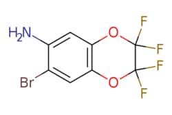eMolecules​ 6-Amino-7-bromo-2,2,3,3-tetrafluoro-1,4-benzodioxane | 254895-87-9