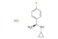EMOLECULES INC&nbsp;2407312-04-1 | N-[(1S)-1-(4-Fluorophenyl)ethyl]cyclopropanamine hydrochloride | Apollo Scientific215.700 | C11H15ClFN | 95.000 | Cl.C[C@H](NC1CC1)c1ccc(F)cc1 | 1g | 562460883
