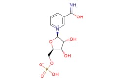 eMolecules​ b-Nicotinamide mononucleotide | 1094-61-7 | | 1g, Quantity: