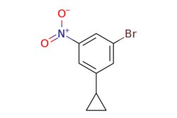 eMolecules​ 1-Bromo-3-cyclopropyl-5-nitrobenzene | 1211541-80-8 | | 1g,