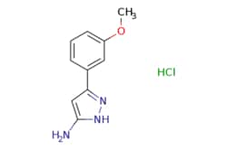 eMolecules​ 5-(3-Methoxy-phenyl)-2H-pyrazol-3-ylamine hydrochloride | 1025447-42-0