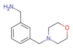 eMolecules​&nbsp;3-Morpholin-4-ylmethyl-benzylamine | 91271-83-9 | MFCD06657777 | 1g