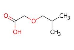 eMolecules​ Isobutoxyacetic acid | 24133-46-8 | MFCD03425725 | 25g, Quantity: