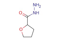 eMolecules​ Tetrahydro-furan-2-carboxylic acid hydrazide | 59293-11-7 | MFCD02193362 | 25g