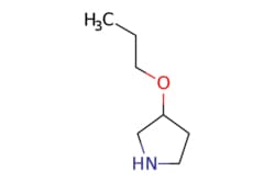 eMolecules​&nbsp;3-Propoxy-pyrrolidine | 946681-61-4 | MFCD08688520 | 5g