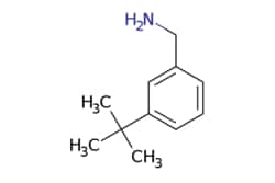 eMolecules​ 3-tert-Butyl-benzylamine | 608515-16-8 | MFCD09260785 | 1g,