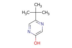 eMolecules​ 5-tert-Butyl-pyrazin-2-ol | 1159820-93-5 | MFCD12032729 | 1g,