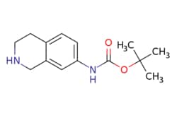eMolecules​ (1,2,3,4-Tetrahydro-isoquinolin-7-yl)-carbamic acid tert-butyl