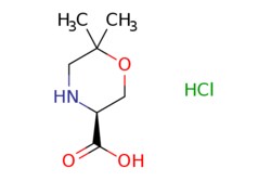 eMolecules​ (S)-6,6-Dimethyl-morpholine-3-carboxylic acid hydrochloride