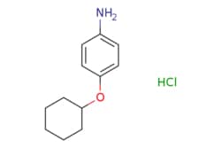 eMolecules​ 4-Cyclohexyloxy-phenylamine hydrochloride | 105971-50-4 | MFCD11858349