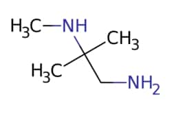 eMolecules​ N2-methyl-2-methyl-propane-1,2-diamine | 116577-09-4 | MFCD16664728