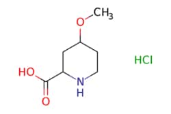 eMolecules​&nbsp;4-Methoxy-piperidine-2-carboxylic acid hydrochloride | 1255665-40-7 | MFCD09997830 | 5g
