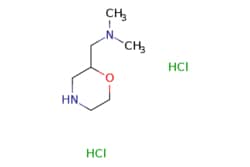 eMolecules​ Dimethyl-morpholin-2-ylmethyl-amine dihydrochloride | 122894-40-0