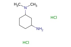 eMolecules​ N,N-Dimethyl-cyclohexane-1,3-diamine dihydrochloride | 1187931-27-6 | MFCD09878890 | 5g