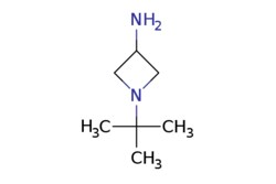 eMolecules​ 1-tert-butylazetidin-3-amine | 18713-70-7 | MFCD10565786 |