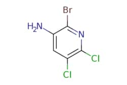 eMolecules​&nbsp;2-bromo-5,6-dichloro-pyridin-3-amine | 1253889-50-7 | MFCD18783198 | 1g