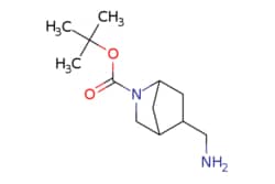eMolecules​ tert-butyl 5-(aminomethyl)-2-azabicyclo[2.2.1]heptane-2-carboxylate